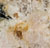 Granite Golden Countertop